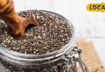 वजन कम नहीं हो रहा? ये छोटे से बीज करेंगे आपके लिए कमाल, जानें फायदे – Uttar Pradesh News