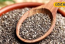 How to consume chia seeds and who should avoid it, know everything – Uttar Pradesh News