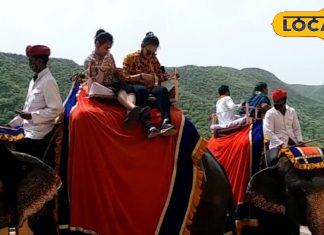 Amer Fort Expensive, Elephant Ride In Jaipur, Know New Rate