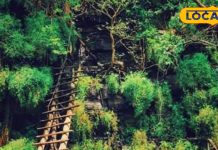 चित्रकूट में घूमने के लिए मशहूर हैं ये जगहें, कैसे पहुंचे, जानें उनकी लोकेशन और खासियत – Uttar Pradesh News