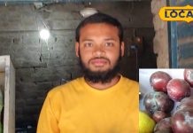 Health: बुखार के लिए रामबाण है ये सेब जैसा फल, अंबिकापुर वालों की फेवरेट – Chhattisgarh News