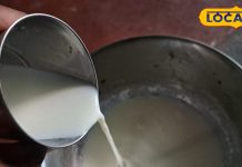 रात को दूध में मिलाकर पिएं देसी घी, शरीर के लिए बन जाएगा ‘अमृत’, फायदे कर देंगे हैरान – Uttar Pradesh News