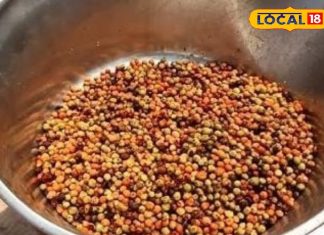 स्वाद और सेहत का खजाना है राजस्थान का ये खट्टा-मीठा डासरिया, ऐसे बनती है इसकी खास चटनी – Bharat.one हिंदी