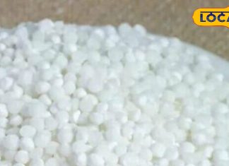 साबूदाना खाने से मिलते हैं ये जबरदस्त फायदे, आज से ही डाइट में करें शामिल; सेहत रहेगी एकदम मस्त – Uttar Pradesh News