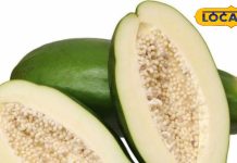 ऐसे करें कच्चे पपीता का सेवन, मिलेगी ऐसी सेहत कि हर कोई पूछेगा इसका राज; तुरंत करें डाइट में शामिल – Uttar Pradesh News