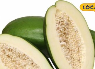 ऐसे करें कच्चे पपीता का सेवन, मिलेगी ऐसी सेहत कि हर कोई पूछेगा इसका राज; तुरंत करें डाइट में शामिल – Uttar Pradesh News