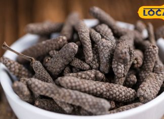 सिरदर्द, अस्थमा और लीवर को सही करने वाला ‘मसाला,’ बिहार में यहां होता है तैयार