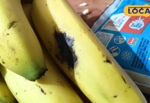 Health News: दुबलेपन और थकावट से हैं परेशान, तो दूध के साथ खाएं केला और फिर देखें कमाल..यहां जानें खाने का सही तरीका