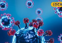 क्या आपके बच्चे को भी बार-बार बुखार आ रहा है? तो तुरंत करें बेहद असरदार उपाय, जल्द मिलेगा राहत