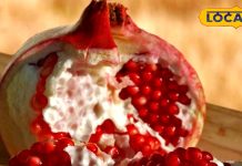 सेहत के लिए वरदान है ये लाल फल, दिल से दिमाग तक हो जाएगा सुपरएक्टिव, जानिए फायदे – Uttar Pradesh News