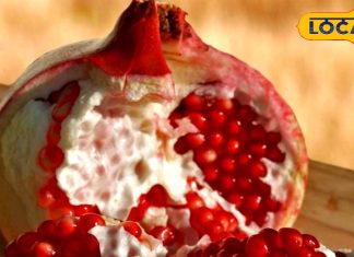 सेहत के लिए वरदान है ये लाल फल, दिल से दिमाग तक हो जाएगा सुपरएक्टिव, जानिए फायदे – Uttar Pradesh News