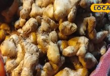 खाने या चाय में इस्तेमाल होने वाला सामान्य साथी, जो सुधारता है दर्द और ब्लड फ्लो, जानें इसके फायदे – Uttarakhand News