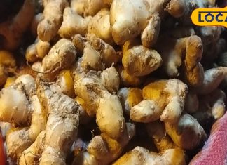 खाने या चाय में इस्तेमाल होने वाला सामान्य साथी, जो सुधारता है दर्द और ब्लड फ्लो, जानें इसके फायदे – Uttarakhand News