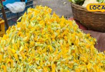 बारिश का आनंद साथ लाती है सनई फूल, पकौड़ी, सब्जी और सेहत का मिला‑जुला आनंद, जरूर करें ट्राय