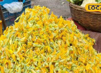 बारिश का आनंद साथ लाती है सनई फूल, पकौड़ी, सब्जी और सेहत का मिला‑जुला आनंद, जरूर करें ट्राय