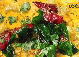 स्वाद और सेहत से भरपूर हैं लौकी का ये स्पेशल डिश, फटाफट नोट करें रेसिपी