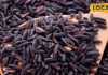 Black Rice Benefits: सफेद चावल से 10 गुना ताकतवर होता है काला चावल, वजन कम करने के साथ दिल की बीमारियों में भी है रामबाण..यहां जानें इसके अनगिनत फायदे