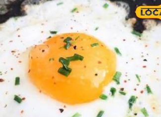 Egg Yolk Myths: अंडे की जर्दी को लेकर भ्रांतियां, एक्सपर्ट ने बताया किसे खाना चाहिए और किसे नहीं
