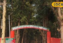 इस वीकेंड घूमने का प्लान? जानें महराजगंज के 5 मज़ेदार टूरिस्ट स्पॉट, बजट फ्रेंडली और मज़ेदार – Uttar Pradesh News