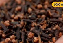 Health Tips: छोटी सी लौंग है बड़ी काम की चीज! जानिए दांत दर्द से लेकर पाचन तक इसके 5 जबरदस्त फायदे – Uttarakhand News