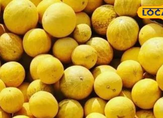 लंबे समय से एड़ी के दर्द से हैं परेशान? अपनाएं ये रामबाण घरेलू नुस्खा, कुछ ही दिनों में दिखने लगेगा फर्क