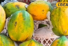 ये फल है सेहत और सुंदरता का खजाना, डाइटिंग से लेकर दिल तक रखेगा फिट, रोजाना खाने से मिलेंगे गज़ब के फायदे – Uttar Pradesh News