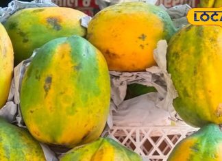 ये फल है सेहत और सुंदरता का खजाना, डाइटिंग से लेकर दिल तक रखेगा फिट, रोजाना खाने से मिलेंगे गज़ब के फायदे – Uttar Pradesh News