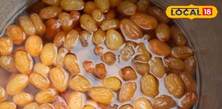 Health Tips: अगर आप भी रोज खाते हैं भीगी हुई किशमिश, तो जाने इसके चमत्कारी फायदे, सेहत के लिए हैं असरदार