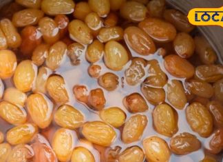 Health Tips: अगर आप भी रोज खाते हैं भीगी हुई किशमिश, तो जाने इसके चमत्कारी फायदे, सेहत के लिए हैं असरदार