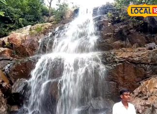 मनाली-शिमला भूल जाइए! हजारीबाग का यह झरना है परिवार संग पिकनिक का परफेक्ट स्पॉट – Jharkhand News