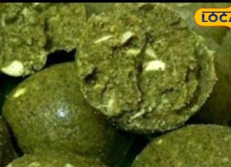 घर पर बनाएं प्रोटीन और फाइबर से भरपूर यह लड्डू, 10 से 15 दिन तक नहीं होगा खराब, शुगर पेशेंट भी ले सकते हैं स्वाद