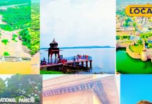 Bharatpur News: भरतपुर में ऐतिहासिक किले, झरने, मंदिर और केवलादेव नेशनल पार्क के साथ प्राकृतिक और सांस्कृतिक सौंदर्य