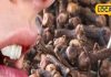 Clove Benefits: बड़ा करामाती है किचन में रखा यह मसाला, दांत का दर्द चुटकियों में गायब, कब्ज और मुंहासे का काल