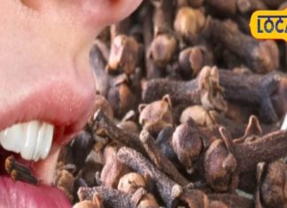 Clove Benefits: बड़ा करामाती है किचन में रखा यह मसाला, दांत का दर्द चुटकियों में गायब, कब्ज और मुंहासे का काल