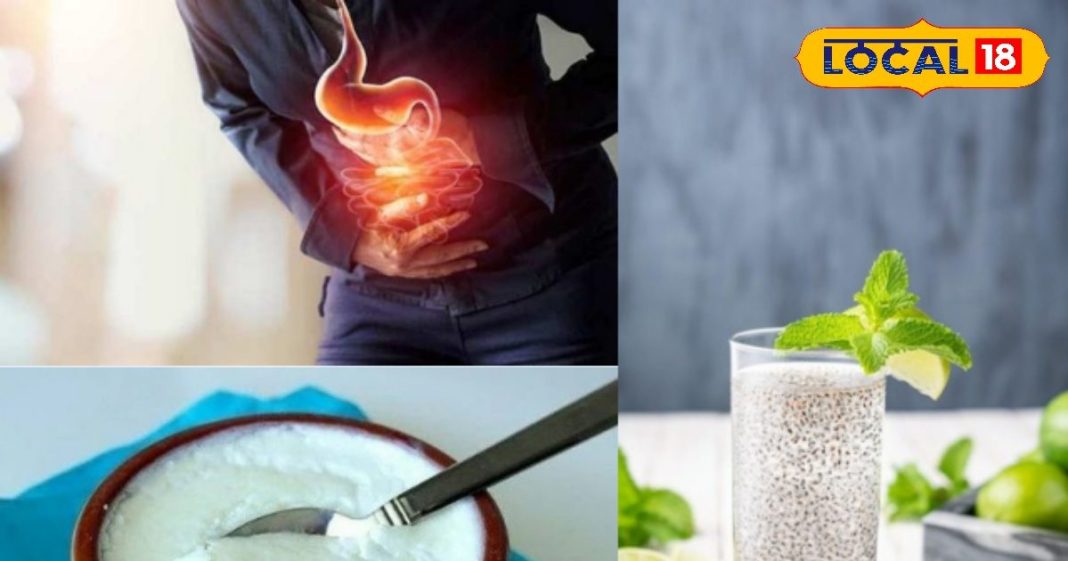 Health Tips: चिया सीड्स और दही का सेवन एसिडिटी और कब्ज के लिए है रामबाण