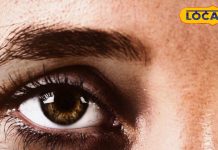 डार्क सर्कल्स से परेशान? अपनाएं ये आसान घरेलू उपाय और पाएं राहत, चुटकियों में होंगे गायब! – Uttar Pradesh News