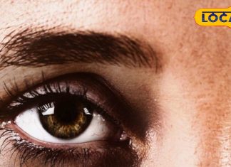 डार्क सर्कल्स से परेशान? अपनाएं ये आसान घरेलू उपाय और पाएं राहत, चुटकियों में होंगे गायब! – Uttar Pradesh News