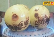 navratri vrat chutney: नवरात्रि में बिना लहसुन-प्याज बनाएं इस फल की चटनी, खाने वाले पूछेंगे बनाने का तरीका