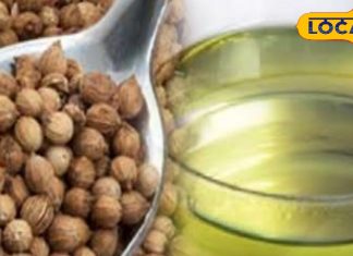 थायराइड पर तुरंत असर दिखाने वाले आसान घरेलू उपाय: धनिया बीज और सरल जीवनशैली से बदलें स्वास्थ्य – Rajasthan News