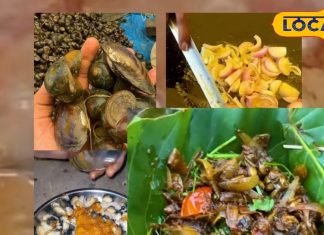 This – Jharkhand News – Bharat.one हिंदी