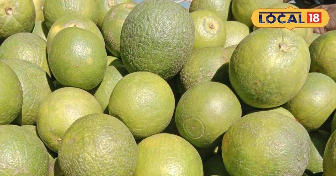 Mosambi juice benefits: मौसंबी का जूस पीने से होते हैं ये कमाल के बदलाव, जानकर रह जाएंगे दंग! – Uttar Pradesh News