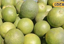 Mosambi juice benefits: मौसंबी का जूस पीने से होते हैं ये कमाल के बदलाव, जानकर रह जाएंगे दंग! – Uttar Pradesh News