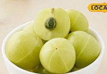 Hair care Tips: सर्दियों में झड़ते हैं बाल, तो आंवला को फर्मेंट करके खाएं और फिर देखें कमाल..ये रहा बनाने का तरीका – Uttarakhand News