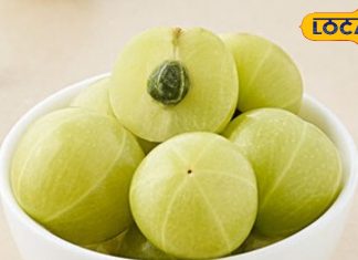 Hair care Tips: सर्दियों में झड़ते हैं बाल, तो आंवला को फर्मेंट करके खाएं और फिर देखें कमाल..ये रहा बनाने का तरीका – Uttarakhand News