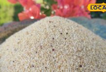 Health Tips : ये पहाड़ी अनाज… झटपट करेगा वजन और शुगर कंट्रोल! हार्ट और पेट के लिए रामबाण – Uttarakhand News