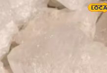 सेहत का खजाना है ये सफेद सा दिखने वाला टुकड़ा, फायदे जानकर रह जाएंगे हैरान