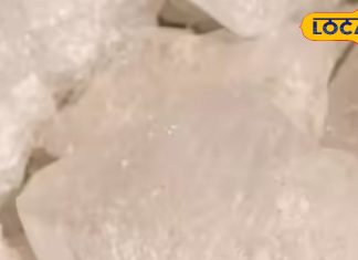 सेहत का खजाना है ये सफेद सा दिखने वाला टुकड़ा, फायदे जानकर रह जाएंगे हैरान