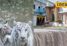 PHOTOS: मानसून विदाई से पहले कर लें रीवा के इन जगहों का दीदार, वरना करना पड़ेगा 1 साल का इंतजार – Madhya Pradesh News