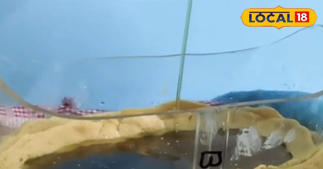 न ऑपरेशन की जरूरत, न खानी पड़ेगी टेबलेट…आयुर्वेद का ये तरीका चुटकियों में भगा देगा स्पाइन दर्द – Uttar Pradesh News