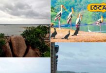 Hyderabad Lakes Tourism | Monsoon Scenic Spots Hyderabad | Nature Photography Hyderabad | Rainy Season Travel India | Hyderabad Nearby Lakes | Monsoon Beauty Hyderabad